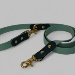 Original Leash
