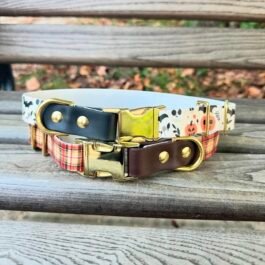 Adjustable Collar