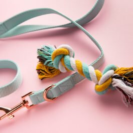 Slip Leads