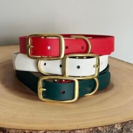 Buckle Collar