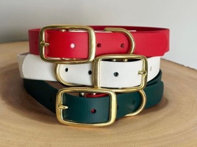 Buckle Collar