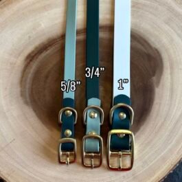 Buckle Collar